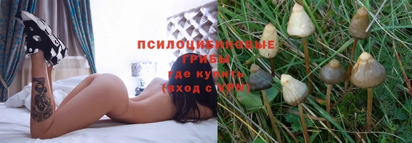 прущая мука Чердынь