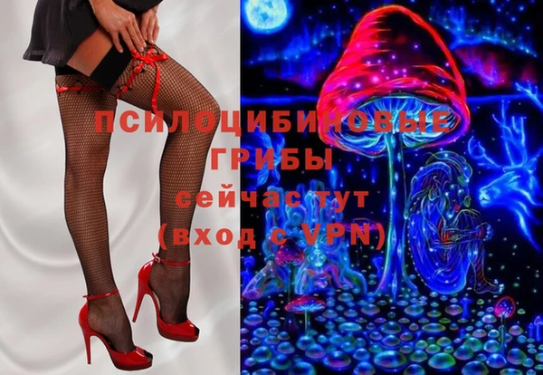 прущая мука Чердынь
