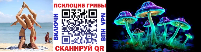 Псилоцибиновые грибы ЛСД  blacksprut ссылка  Королёв 